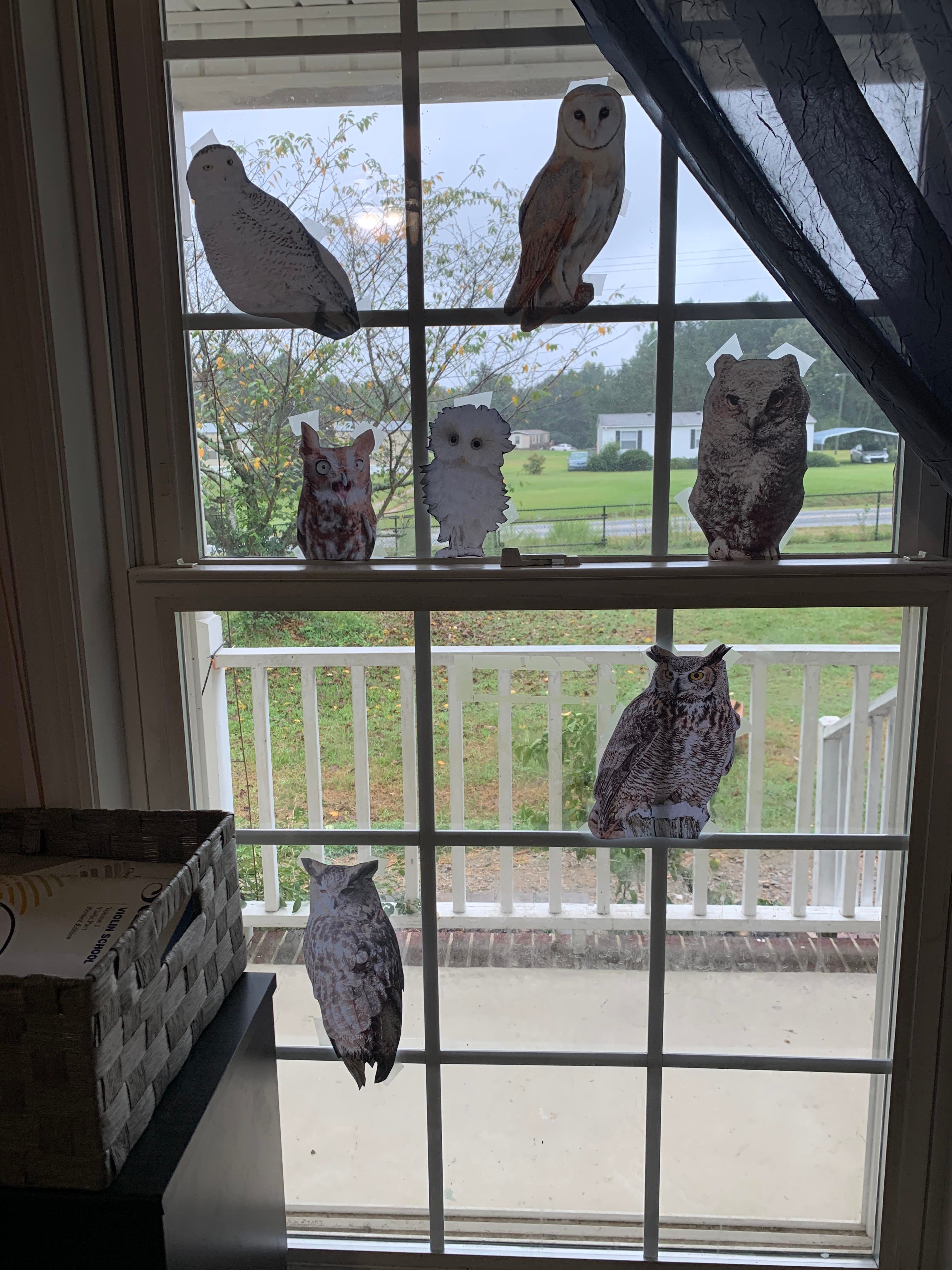 decorations